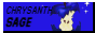 Sage's button